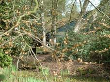 kalmthout_227x170_056.jpg