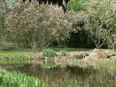 kalmthout_227x170_065.jpg
