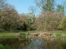 kalmthout_227x170_066.jpg