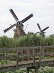 kinderdijk_182x243_7761.jpg