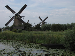 kinderdijk_243x182_7765.jpg