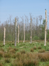 kortenhoef_162x216_006.jpg