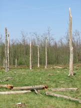 kortenhoef_162x216_007.jpg
