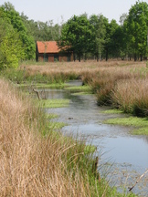 kortenhoef_162x216_012.jpg