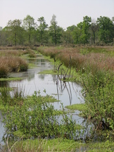kortenhoef_162x216_013.jpg