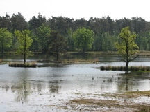 kortenhoef_216x162_001.jpg