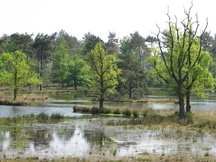 kortenhoef_216x162_002.jpg