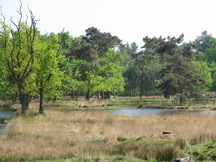 kortenhoef_216x162_003.jpg