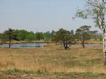 kortenhoef_216x162_004.jpg