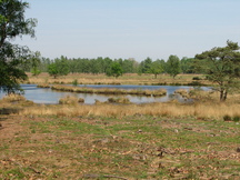 kortenhoef_216x162_005.jpg