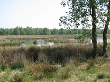 kortenhoef_216x162_009.jpg