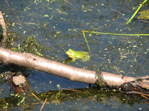 kortenhoef_216x162_010.jpg