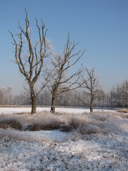 kortenhoef_182x243_0053.jpg