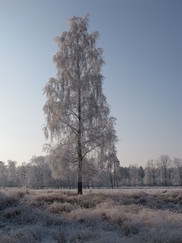 kortenhoef_182x243_0054.jpg