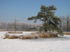 kortenhoef_243x182_0051.jpg