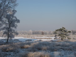 kortenhoef_243x182_0067.jpg