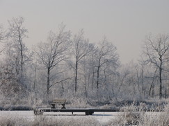 kortenhoef_243x182_0077.jpg