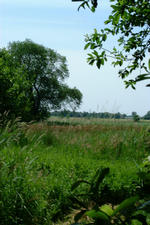 laarzenpad_150x225_073.jpg