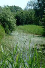 laarzenpad_150x225_076.jpg