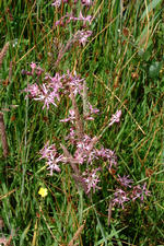 laarzenpad_150x225_080.jpg
