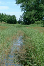 laarzenpad_150x225_081.jpg