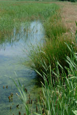 laarzenpad_150x225_086.jpg