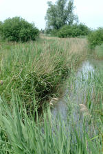laarzenpad_150x225_095.jpg