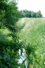 laarzenpad_150x225_102.jpg