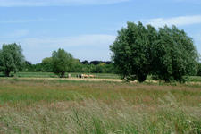 laarzenpad_225x150_061.jpg