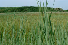 laarzenpad_225x150_064.jpg