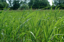 laarzenpad_225x150_067.jpg