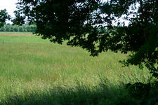 laarzenpad_225x150_069.jpg