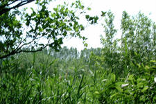 laarzenpad_225x150_072.jpg