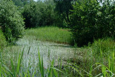 laarzenpad_225x150_075.jpg