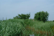laarzenpad_225x150_083.jpg