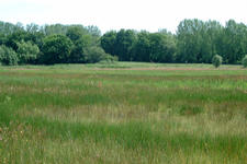 laarzenpad_225x150_084.jpg