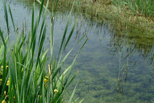 laarzenpad_225x150_087.jpg