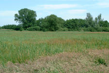 laarzenpad_225x150_088.jpg