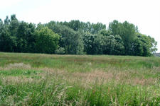 laarzenpad_225x150_089.jpg