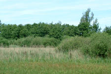 laarzenpad_225x150_092.jpg
