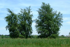laarzenpad_225x150_093.jpg