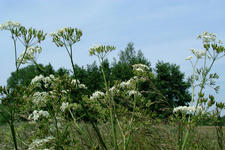 laarzenpad_225x150_096.jpg