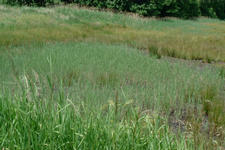 laarzenpad_225x150_098.jpg