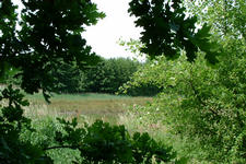 laarzenpad_225x150_100.jpg
