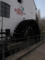 limburg_182x243_0029.jpg