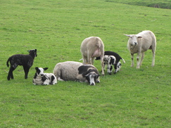 limburg_243x182_0036.jpg