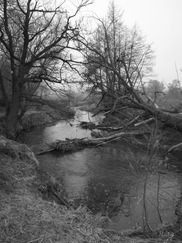 limburg_182x243_0047.jpg