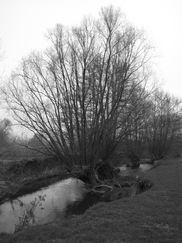 limburg_182x243_0068.jpg