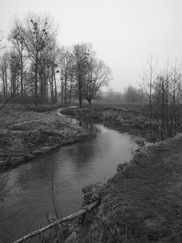limburg_182x243_0082.jpg