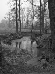 limburg_182x243_0097.jpg
